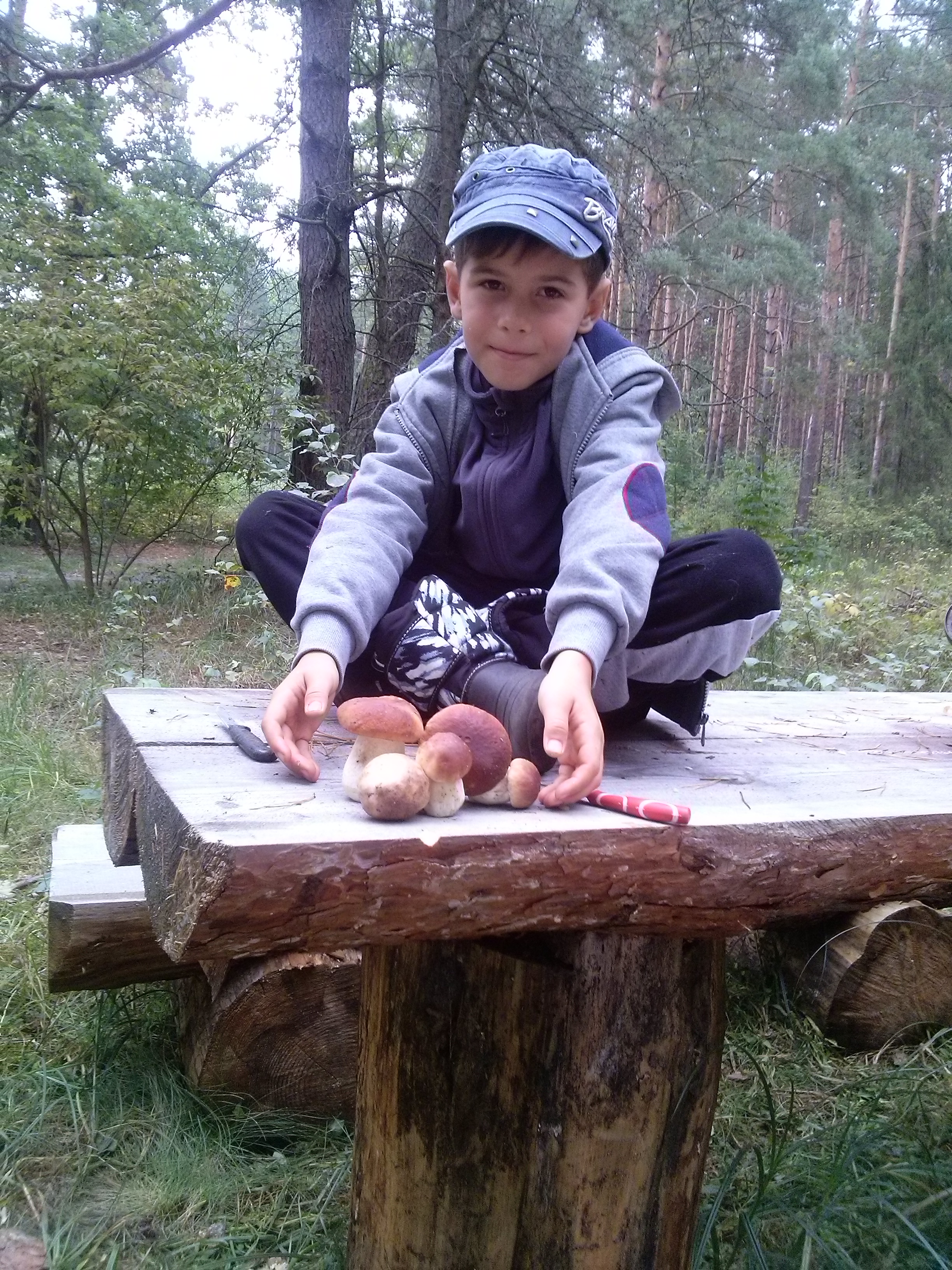 Фото Оліферука Антона Вікторовича, 23.04.2005 р.н. - Я вмію збирати гриби - Біленькі