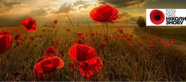 маки_9_травня